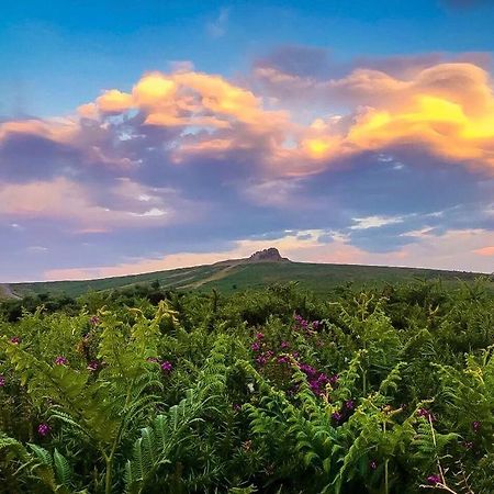 Апартаменти Haytor Court, Haytor, Dartmoor Екстер'єр фото