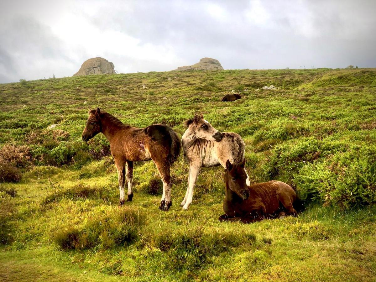 Апартаменти Haytor Court, Haytor, Dartmoor Екстер'єр фото