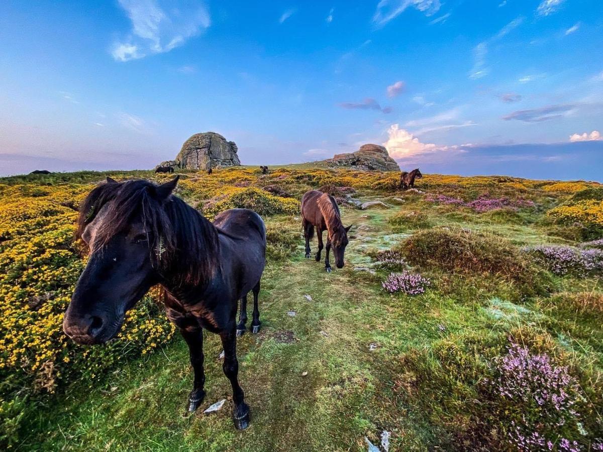 Апартаменти Haytor Court, Haytor, Dartmoor Екстер'єр фото